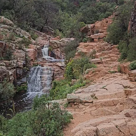 Colori Di Sardegna *