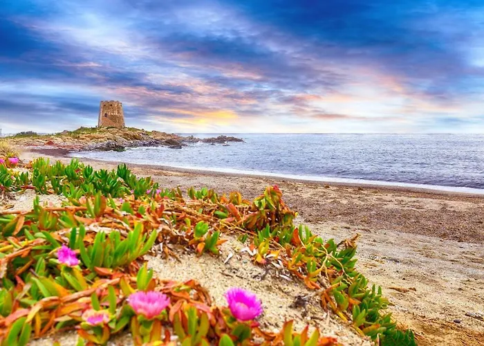 Colori Di Sardegna アパート *