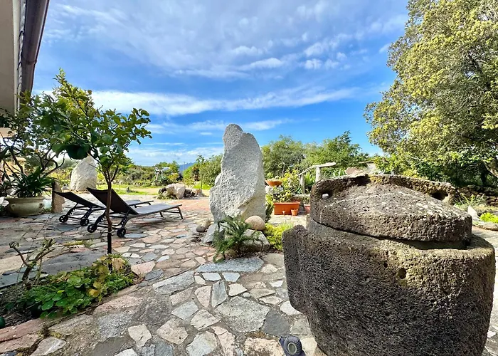 Colori Di Sardegna * バリ・サルド