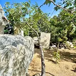 Διαμέρισμα Colori Di Sardegna