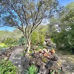 Colori Di Sardegna *