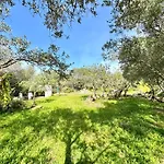 Διαμέρισμα Colori Di Sardegna *