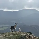 Colori Di Sardegna Διαμέρισμα