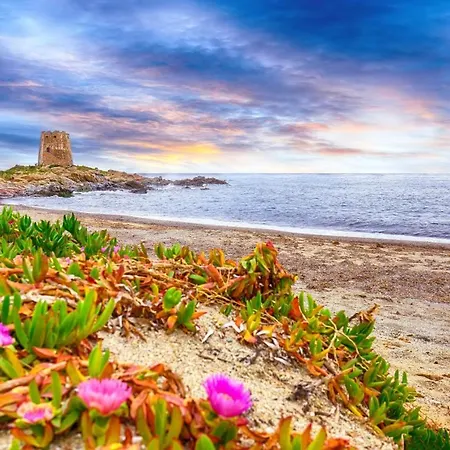 Colori Di Sardegna Appartamento *