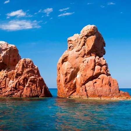 Colori Di Sardegna *