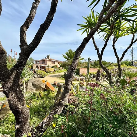 Colori Di Sardegna