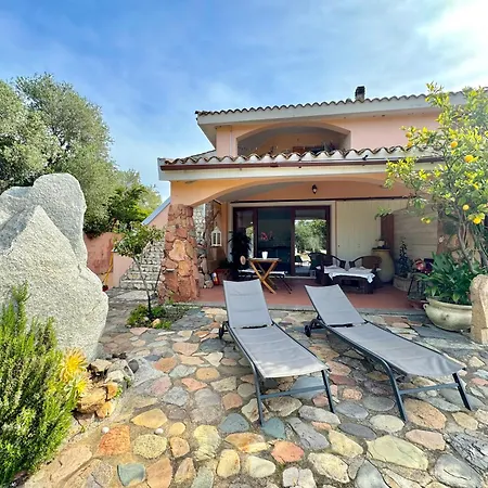 Colori Di Sardegna * Бари-Сардо