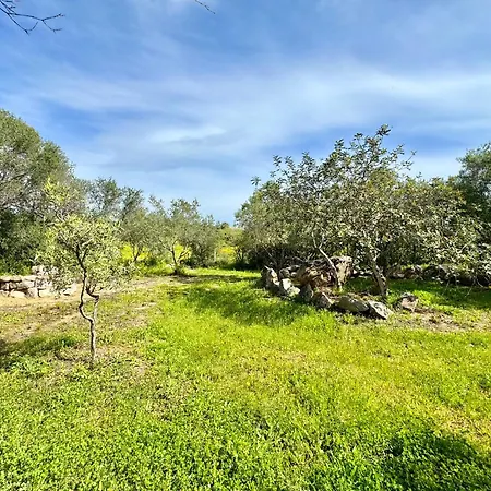 Appartamento Colori Di Sardegna *