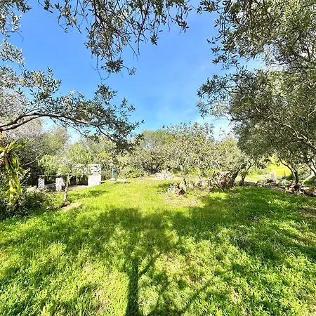 Apartament Colori Di Sardegna *