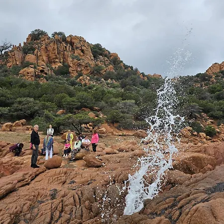 Colori Di Sardegna * Бари-Сардо