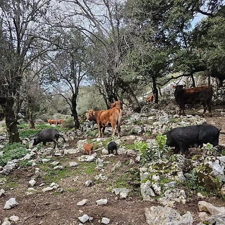 Appartamento Colori Di Sardegna